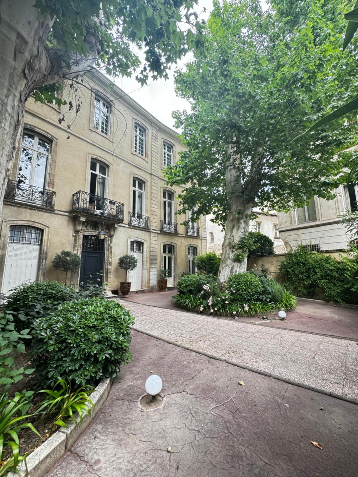 Appartement Les 2 arbres à Avignon Extérieur photo