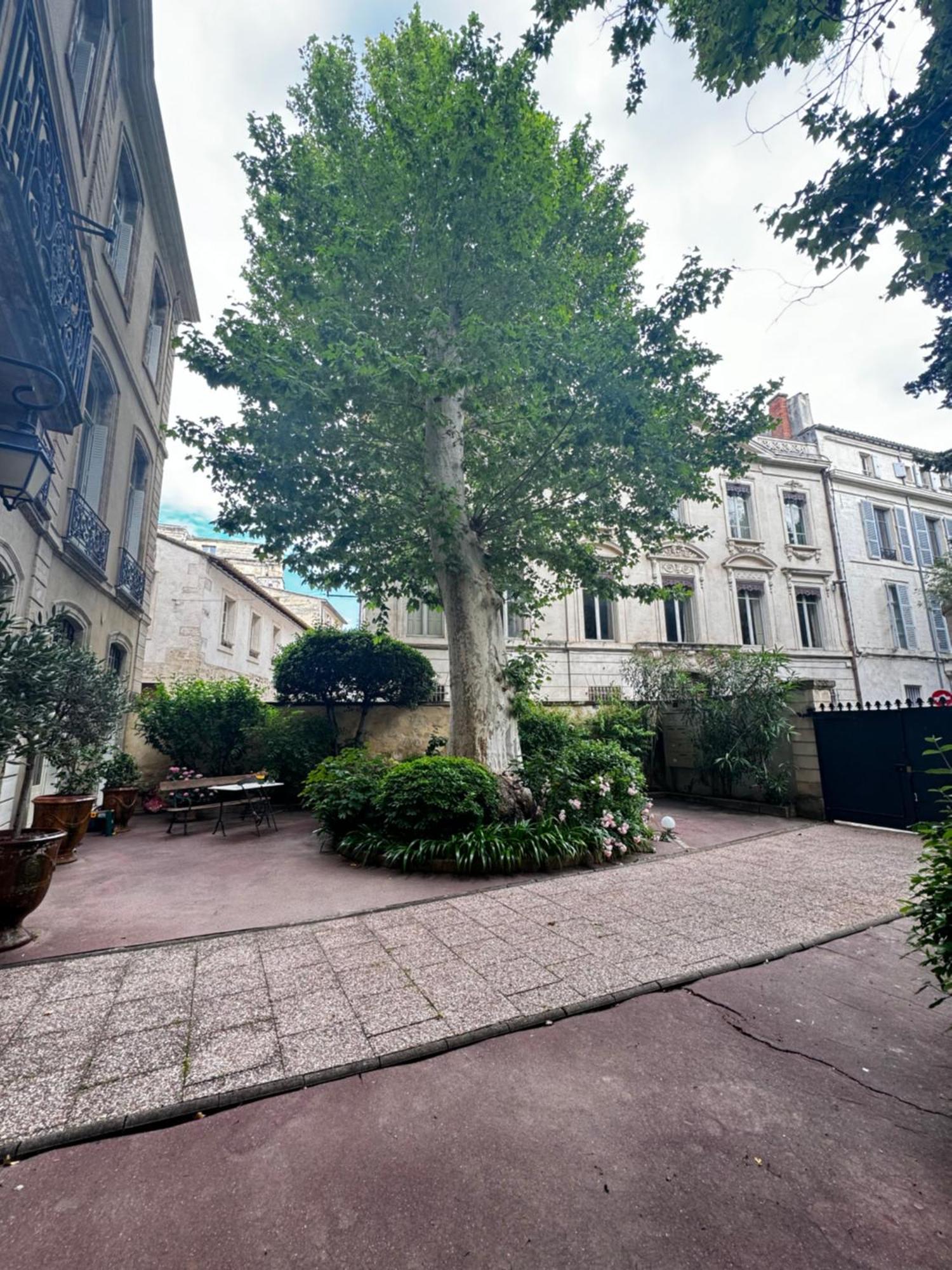 Appartement Les 2 arbres à Avignon Extérieur photo